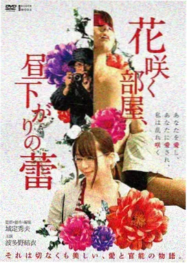 都市迷航剧集封面